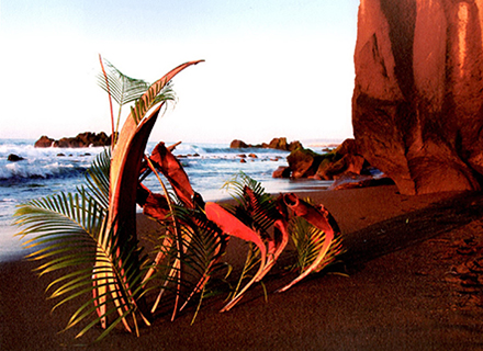 創作・パフォーマンス